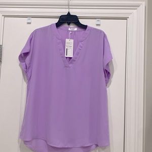 SoTeer NWT light purple chiffon cap sleeve, hi lo hem pullover top Size Large